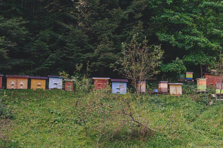 Bienenstock in einer natürlichen Umgebung mit blühenden Wildpflanzen